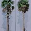 Palm I And Palm II - Acrylic Paintings - By Allan West, Realistic Painting Artist