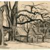 Old Tree - Ink  Brown Paper Drawings - By Inga Karelina, Realism Drawing Artist